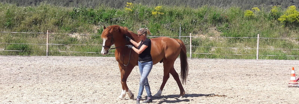 team-building-equicoaching